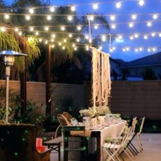 Festoon Lights  - White