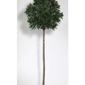 Bay Tree Artificial