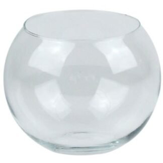 Fish Bowl / Centrepiece